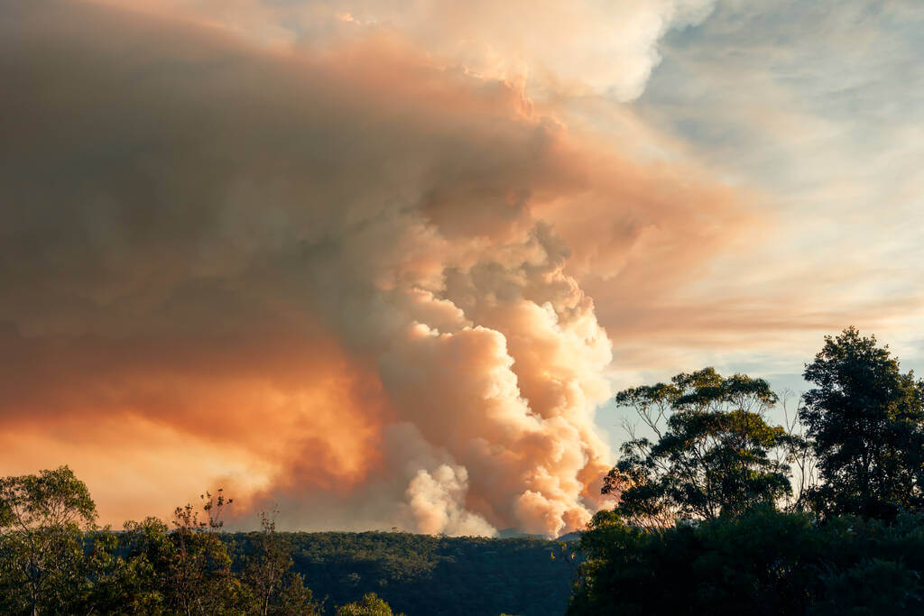 bushfire assessment and control