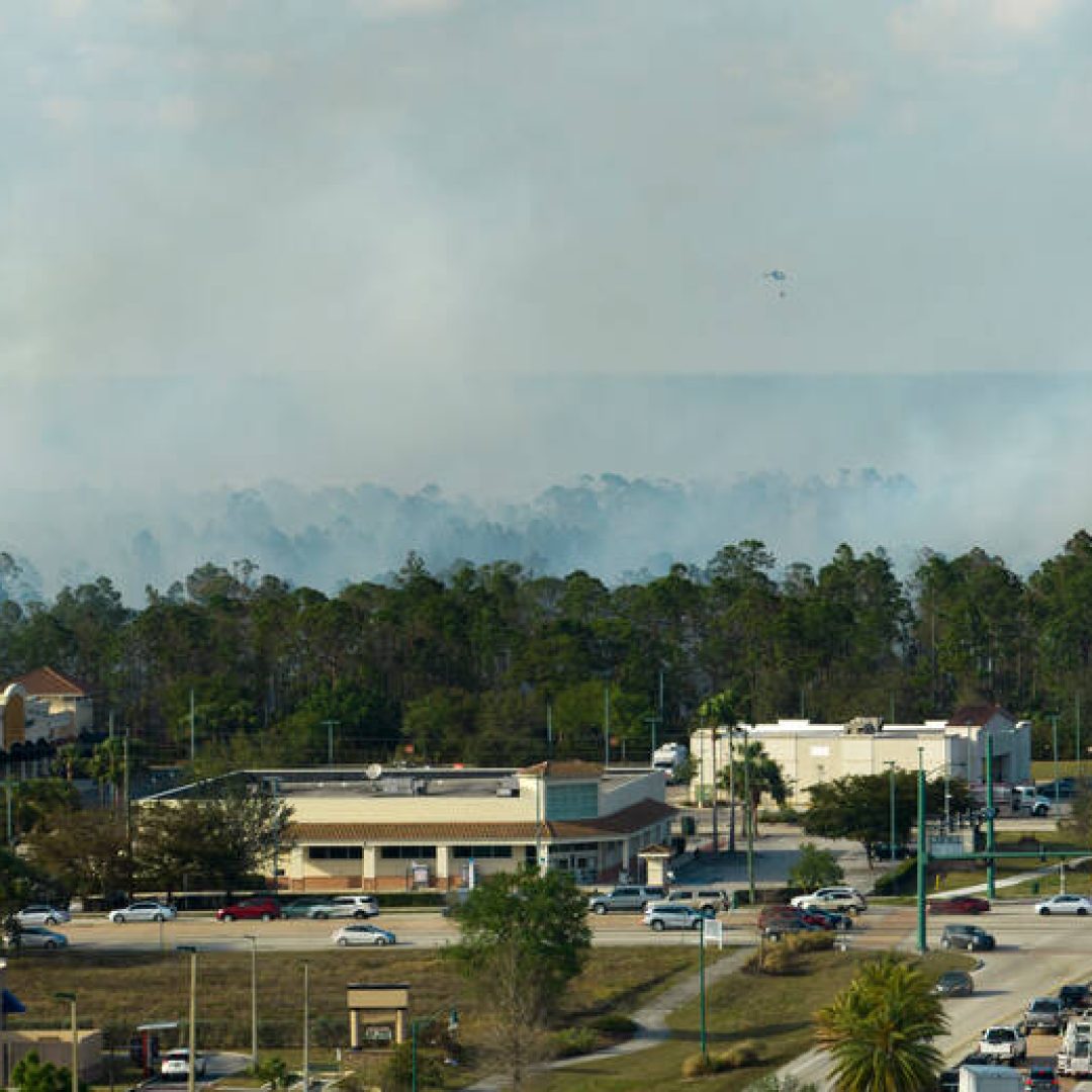 residential area bushfire